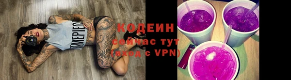 первитин Каменка