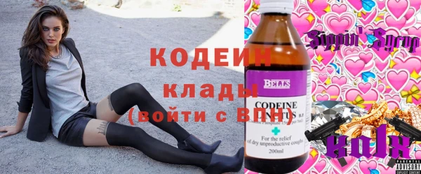 первитин Каменка